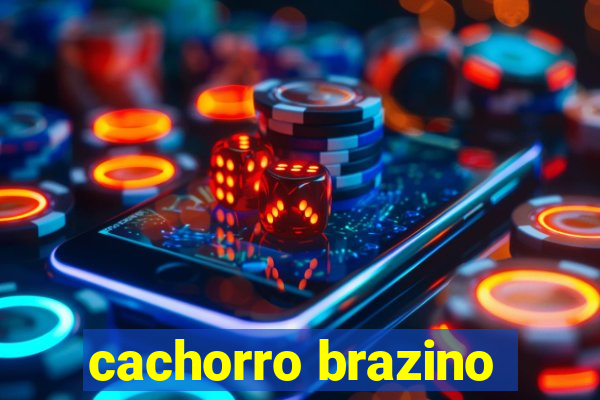 cachorro brazino